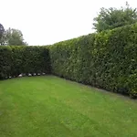 Hébergement de vacances D4 Haus In Eckwarderhoerne Mit Terrasse Und Garte By Interhome