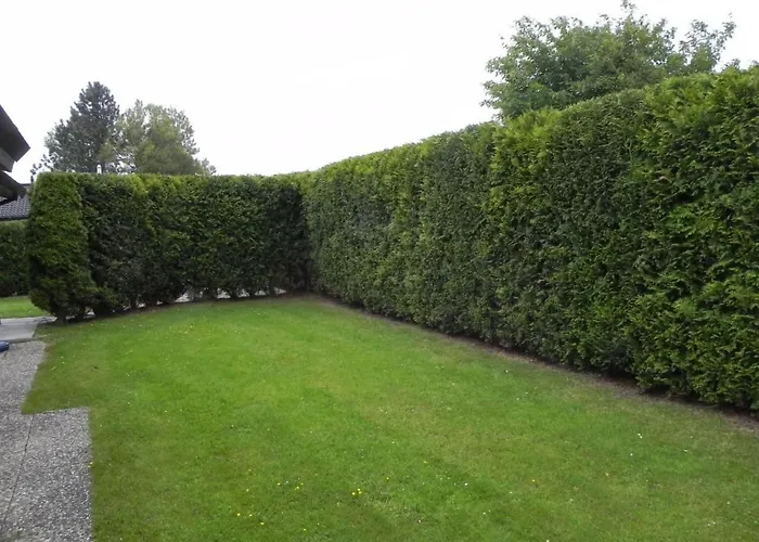 Сasa de vacaciones D4 Haus In Eckwarderhoerne Mit Terrasse Und Garte By Interhome